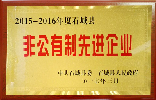 非公有制先進企業